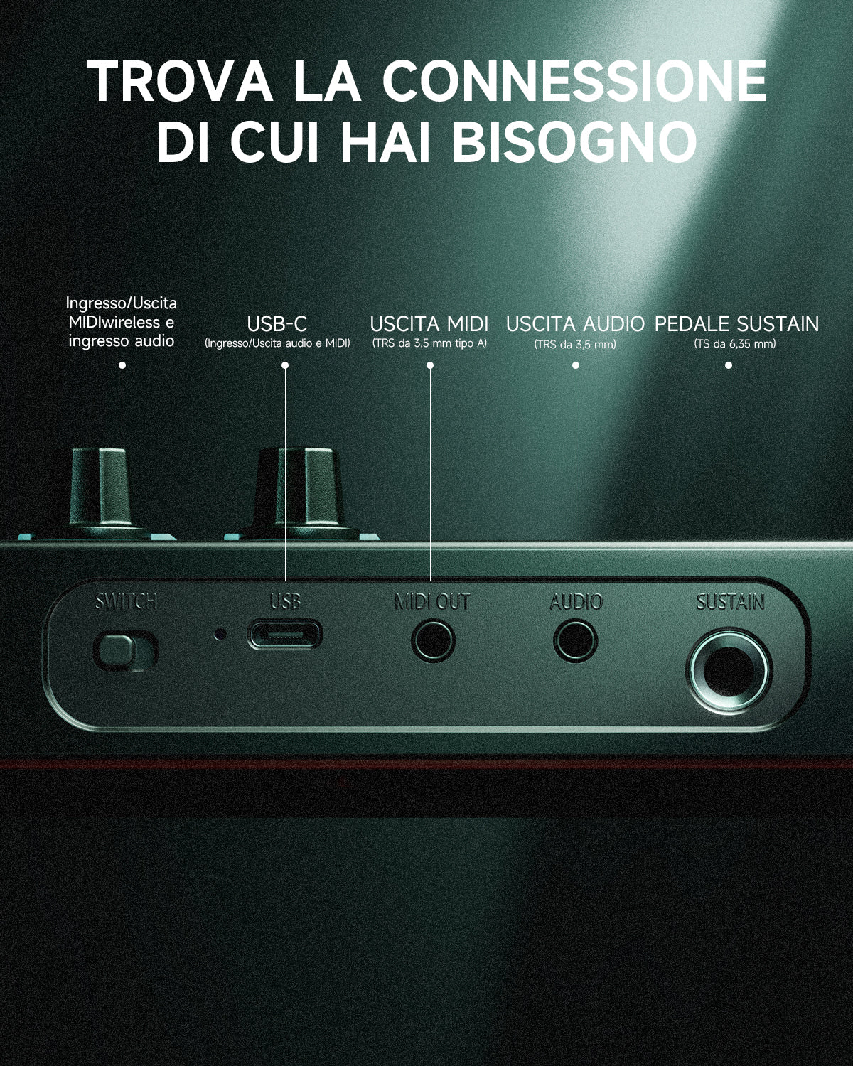 Immagine prodotto 7